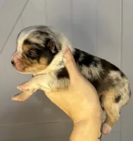 processed/d796358a-aeaa-4e82-b1ed-572290509037/listing/57318a40-a3ad-4a50-a8da-7f6a3f4235a3/178600a3-1811-44a5-b618-572e2113b016