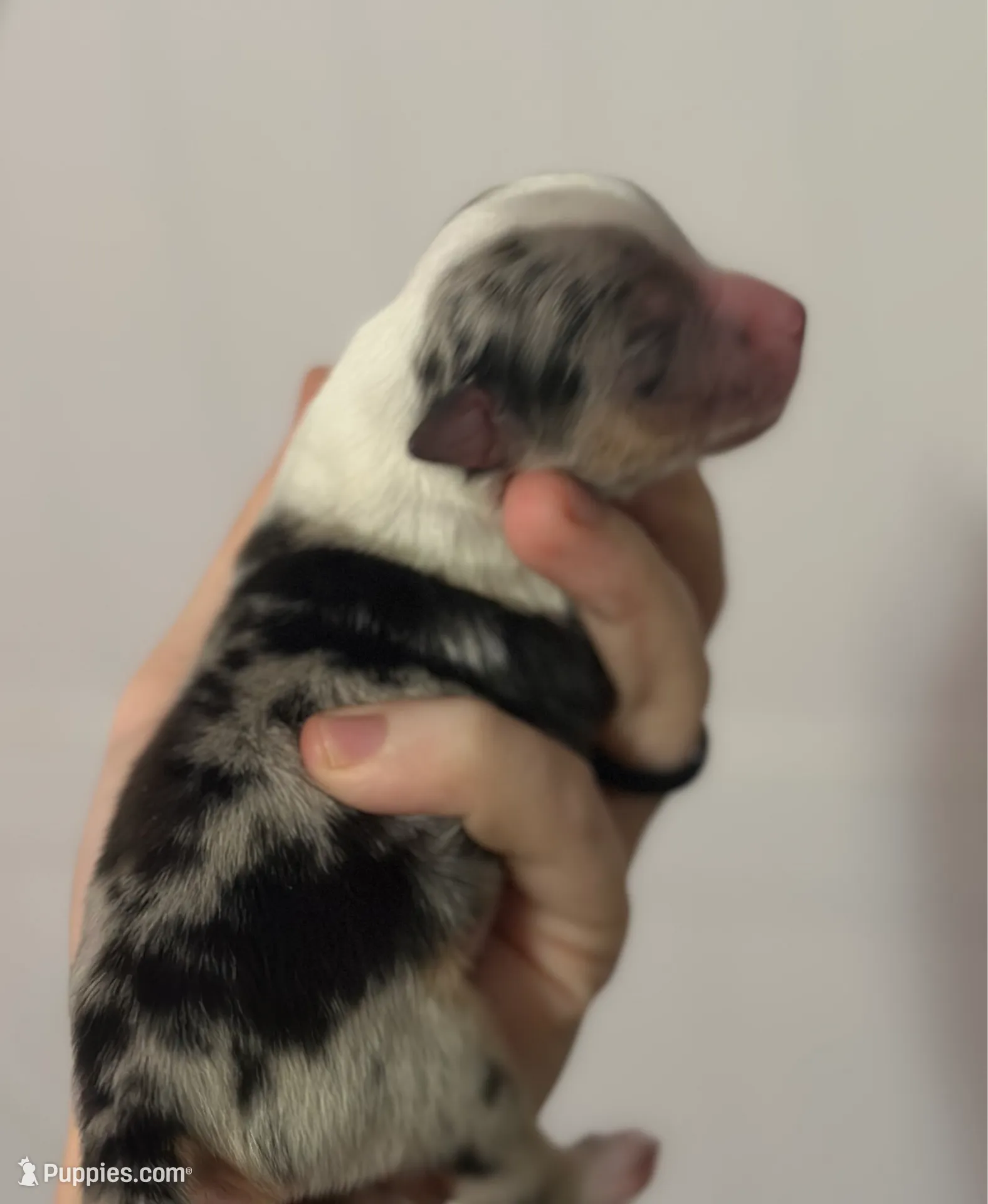 processed/d796358a-aeaa-4e82-b1ed-572290509037/listing/57318a40-a3ad-4a50-a8da-7f6a3f4235a3/23b6d275-2b10-454c-83a4-0d06342f1415