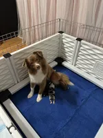 processed/d796358a-aeaa-4e82-b1ed-572290509037/listing/57318a40-a3ad-4a50-a8da-7f6a3f4235a3/2a023a46-8789-4995-bfe1-93a18ca56e56