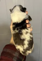 processed/d796358a-aeaa-4e82-b1ed-572290509037/listing/57318a40-a3ad-4a50-a8da-7f6a3f4235a3/8ad448cf-e3e5-4666-b92f-726d7e2dc2ca