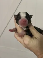 processed/d796358a-aeaa-4e82-b1ed-572290509037/listing/a31ce30a-324e-47f5-8371-b81937d1e613/4979dafb-c95c-44d5-a57d-3b783dfc7f06