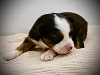 processed/d796358a-aeaa-4e82-b1ed-572290509037/listing/a31ce30a-324e-47f5-8371-b81937d1e613/74be5196-a1ca-4ecd-b464-05c35c43063c