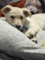 processed/d7add026-3e87-4de6-aba0-cf364a07704d/listing/a6c2924f-cf89-431a-bc29-c0cf47c8792e/b9980057-2803-4526-891e-037e67275b6c