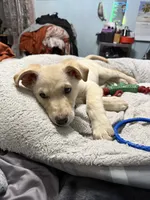 processed/d7add026-3e87-4de6-aba0-cf364a07704d/listing/a6c2924f-cf89-431a-bc29-c0cf47c8792e/cb00061f-4df9-49db-b613-806c9d528991