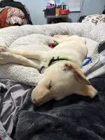 processed/d7add026-3e87-4de6-aba0-cf364a07704d/listing/a6c2924f-cf89-431a-bc29-c0cf47c8792e/d0b361c4-3035-448a-9368-2db696132fa5