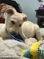 processed/d7add026-3e87-4de6-aba0-cf364a07704d/listing/a6c2924f-cf89-431a-bc29-c0cf47c8792e/ddc8fa9f-b229-4a83-b765-0c21a9b740d1