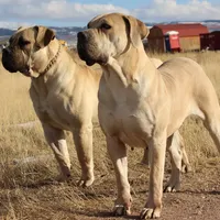 processed/d7ae29bf-89b1-4c81-becd-08fd7a042ee1/facility/902cd77d-57e9-4219-9d71-940a565bcaa7