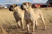 processed/d7ae29bf-89b1-4c81-becd-08fd7a042ee1/facility/902cd77d-57e9-4219-9d71-940a565bcaa7