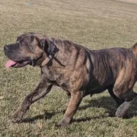 processed/d7ae29bf-89b1-4c81-becd-08fd7a042ee1/facility/a522e998-a55e-45e0-8c00-ffdfe8fb4e21