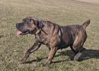 processed/d7ae29bf-89b1-4c81-becd-08fd7a042ee1/facility/a522e998-a55e-45e0-8c00-ffdfe8fb4e21