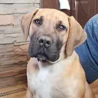 processed/d7ae29bf-89b1-4c81-becd-08fd7a042ee1/facility/a87ab9ac-2b4c-43ac-9939-1165e8230e09