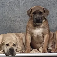 processed/d7ae29bf-89b1-4c81-becd-08fd7a042ee1/facility/a894a10d-91a3-4870-82fd-cd94124c9e18