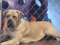 processed/d7ae29bf-89b1-4c81-becd-08fd7a042ee1/facility/cbd57bd8-5799-4a1d-89a2-46dff2800b2d