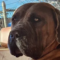 processed/d7ae29bf-89b1-4c81-becd-08fd7a042ee1/facility/de873549-3616-42fd-a67d-df410be90d15