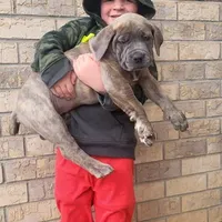 processed/d7ae29bf-89b1-4c81-becd-08fd7a042ee1/facility/ec5c4f2f-57e7-4636-9116-a302a0cd635d