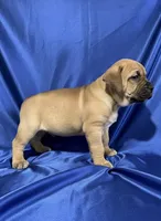 processed/d7ae29bf-89b1-4c81-becd-08fd7a042ee1/listing/2012dde2-ad11-44fb-8d32-662cbfdb5710/2ae75bea-0761-40cd-8a21-291e53f25485