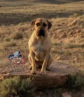 processed/d7ae29bf-89b1-4c81-becd-08fd7a042ee1/listing/2012dde2-ad11-44fb-8d32-662cbfdb5710/ca83558e-0d7e-49d2-9aeb-9637ddc10fa6