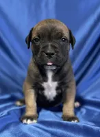 processed/d7ae29bf-89b1-4c81-becd-08fd7a042ee1/listing/5a7ba95e-c264-47eb-be00-26346fc79d0b/be66540f-9d9f-49d2-886f-fe1ca5b21518