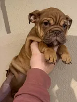 processed/d7ae29bf-89b1-4c81-becd-08fd7a042ee1/listing/97388db0-e0a9-4374-a753-ed8256cdd51f/7fd340e5-52cf-423d-b67a-5d9db9d1a0b6