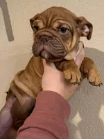 processed/d7ae29bf-89b1-4c81-becd-08fd7a042ee1/listing/97388db0-e0a9-4374-a753-ed8256cdd51f/c8c6cc12-7488-438b-95d4-295333a4344a