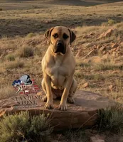 processed/d7ae29bf-89b1-4c81-becd-08fd7a042ee1/listing/d6ee10c1-9db9-42cf-b8f5-d93fe3ff7316/5ad33613-fb48-41ce-959c-d35be1cad6bd