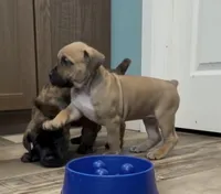 processed/d7ae29bf-89b1-4c81-becd-08fd7a042ee1/listing/d6ee10c1-9db9-42cf-b8f5-d93fe3ff7316/5c7813d6-e9d7-4e93-b87c-31f57becb744