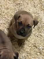 processed/d7ae29bf-89b1-4c81-becd-08fd7a042ee1/listing/d6ee10c1-9db9-42cf-b8f5-d93fe3ff7316/935854e9-a5bc-4d9a-b326-679546b8416b