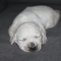 processed/d7b1188d-0314-4d24-9e50-50637f5e7610/facility/1a45a905-eb95-4288-bbb2-06d294ac0057