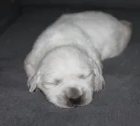 processed/d7b1188d-0314-4d24-9e50-50637f5e7610/facility/1a45a905-eb95-4288-bbb2-06d294ac0057