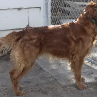 processed/d7b1188d-0314-4d24-9e50-50637f5e7610/facility/2e608a1c-d291-4e37-9ba9-655289290cca