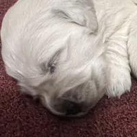 processed/d7b1188d-0314-4d24-9e50-50637f5e7610/facility/30f5b4f8-736b-49ad-81e9-00555053223b