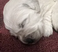 processed/d7b1188d-0314-4d24-9e50-50637f5e7610/facility/30f5b4f8-736b-49ad-81e9-00555053223b