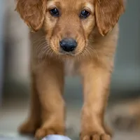 processed/d7b1188d-0314-4d24-9e50-50637f5e7610/facility/e8ab7854-a052-4e7b-b551-608458573ed4