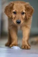 processed/d7b1188d-0314-4d24-9e50-50637f5e7610/facility/e8ab7854-a052-4e7b-b551-608458573ed4