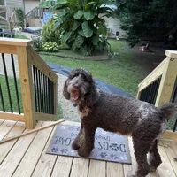 processed/d7b581f3-ebe2-414c-9a8c-ab187c76c3c2/facility/42271d17-95a0-4f6f-a22b-61a7cfeb18fe