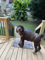 processed/d7b581f3-ebe2-414c-9a8c-ab187c76c3c2/facility/42271d17-95a0-4f6f-a22b-61a7cfeb18fe