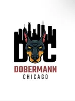 Puppy Boy, a male Doberman Pinscher for sale in Chicago, IL – Photo 10 of 10