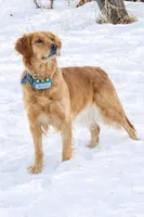 processed/d7be8152-288c-41e9-8b59-1fb4afde0b57/facility/357771bb-6e27-4cd0-a6c4-577c4b90a527