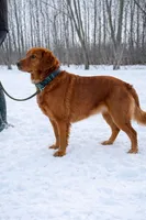 processed/d7be8152-288c-41e9-8b59-1fb4afde0b57/facility/b29059bd-fa94-4f62-ba5e-16ba04c66fde