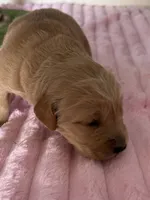 processed/d7be8152-288c-41e9-8b59-1fb4afde0b57/listing/05c02fc6-ac30-41aa-8208-b5bda7b4279c/113782e7-6671-4070-b918-1bedc5879c0c