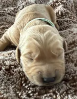 processed/d7be8152-288c-41e9-8b59-1fb4afde0b57/listing/05c02fc6-ac30-41aa-8208-b5bda7b4279c/50ff77dc-e96e-433f-8eb2-c681d25005b8