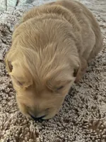 processed/d7be8152-288c-41e9-8b59-1fb4afde0b57/listing/05c02fc6-ac30-41aa-8208-b5bda7b4279c/6e31a628-1c68-4b97-a2b9-8fc2c10b71db