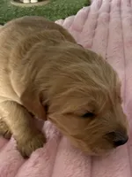 processed/d7be8152-288c-41e9-8b59-1fb4afde0b57/listing/05c02fc6-ac30-41aa-8208-b5bda7b4279c/766748fd-7d94-48a0-8973-17c478423a23