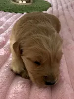 processed/d7be8152-288c-41e9-8b59-1fb4afde0b57/listing/05c02fc6-ac30-41aa-8208-b5bda7b4279c/a5ac0e2a-08dd-455f-a00a-a63532145336