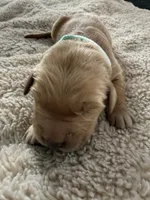 processed/d7be8152-288c-41e9-8b59-1fb4afde0b57/listing/05c02fc6-ac30-41aa-8208-b5bda7b4279c/e04cf95f-b92f-4cc4-a625-e3b655337987