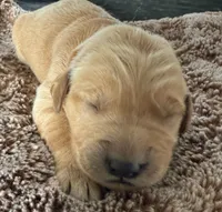 processed/d7be8152-288c-41e9-8b59-1fb4afde0b57/listing/05c02fc6-ac30-41aa-8208-b5bda7b4279c/f77c526b-0c2e-4816-b833-0ca197a53b9c