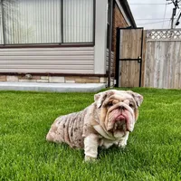 processed/d7bf75cd-fe6a-422e-99ab-a27e60633075/facility/28aba0c6-3990-4f4d-afe9-30f743d3aa26