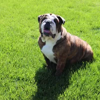 processed/d7bf75cd-fe6a-422e-99ab-a27e60633075/facility/4a066528-049c-468b-aa4a-01a40bd3d059