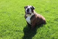 processed/d7bf75cd-fe6a-422e-99ab-a27e60633075/facility/4a066528-049c-468b-aa4a-01a40bd3d059