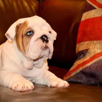 processed/d7bf75cd-fe6a-422e-99ab-a27e60633075/facility/4aeeca13-3053-4653-8bda-9737e08f0b82